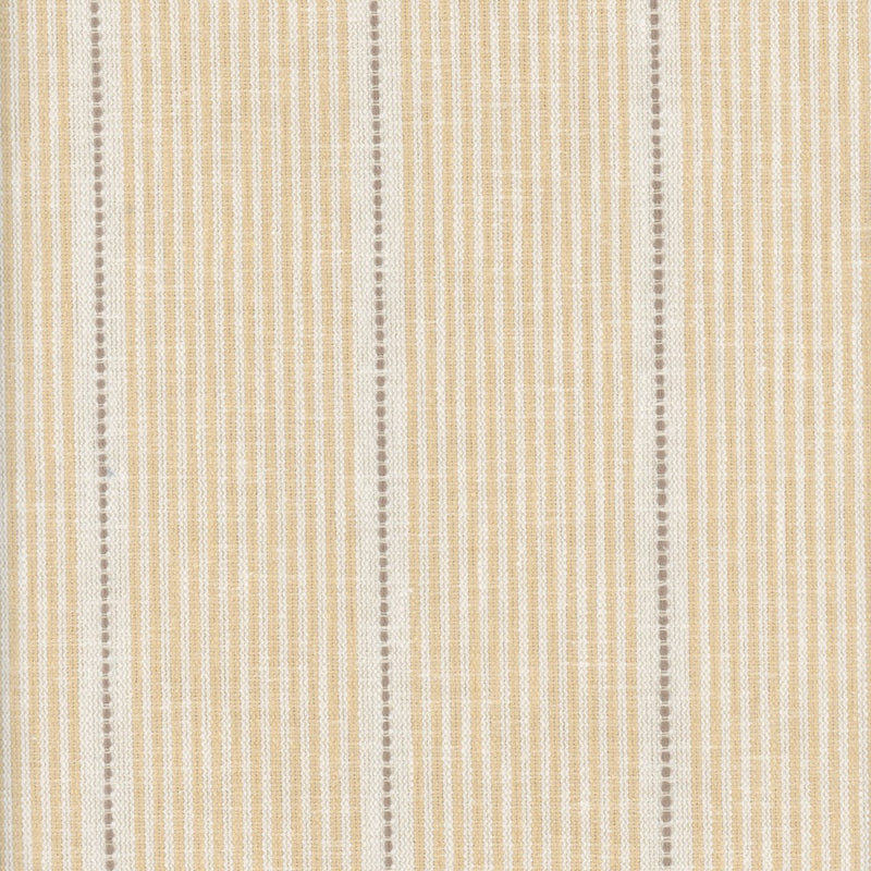 Maize