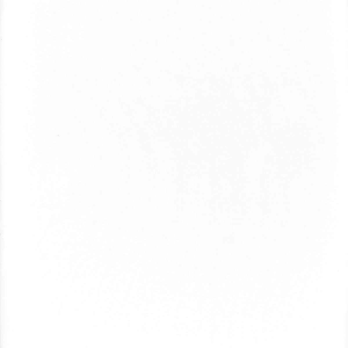 130_super_voile_winter_white.jpeg