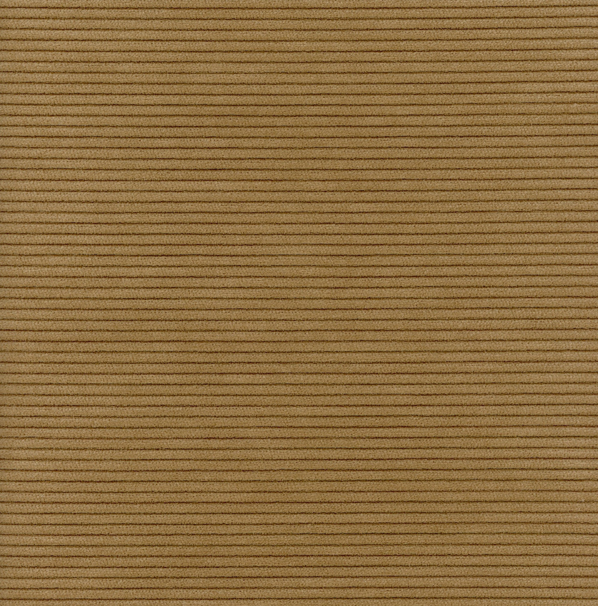 CORDUROY