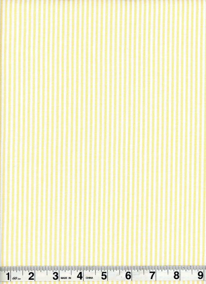 Daffodil