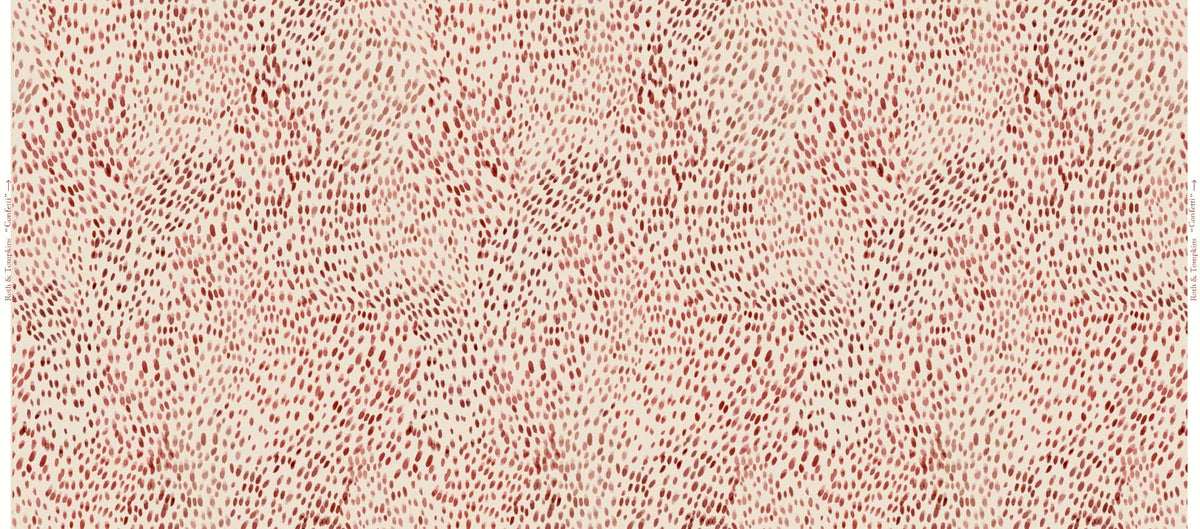 confettirose.jpg